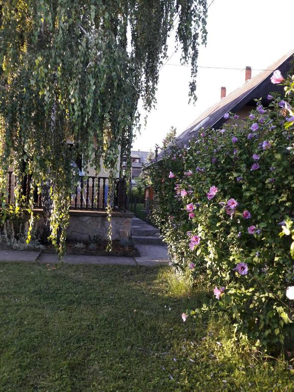 Toldi Apartman Hotel Keszthely Buitenkant foto